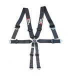 FIA-approved 6-point lightweight harness