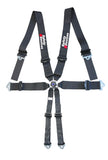 FIA-approved 6-point lightweight-plus harness